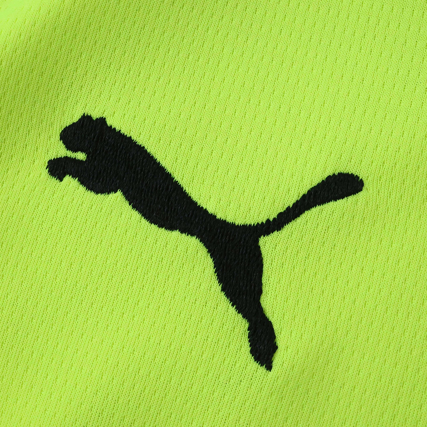 Conjunto Infantil Borussia Dortmund Concept 24/25