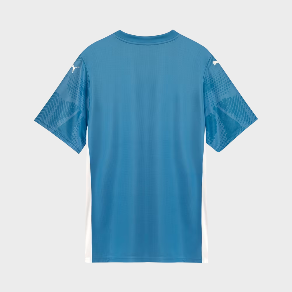 Camisa Palmeiras I Goleiro 25/26 - Torcedor Puma Masculina - Azul