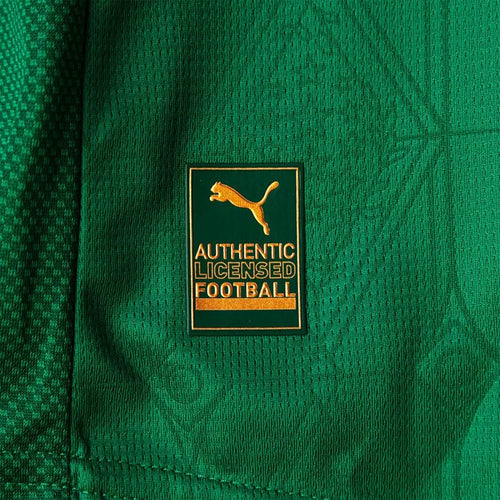 Camisa Palmeiras I 25/26 - Jogador Puma Masculina - Verde