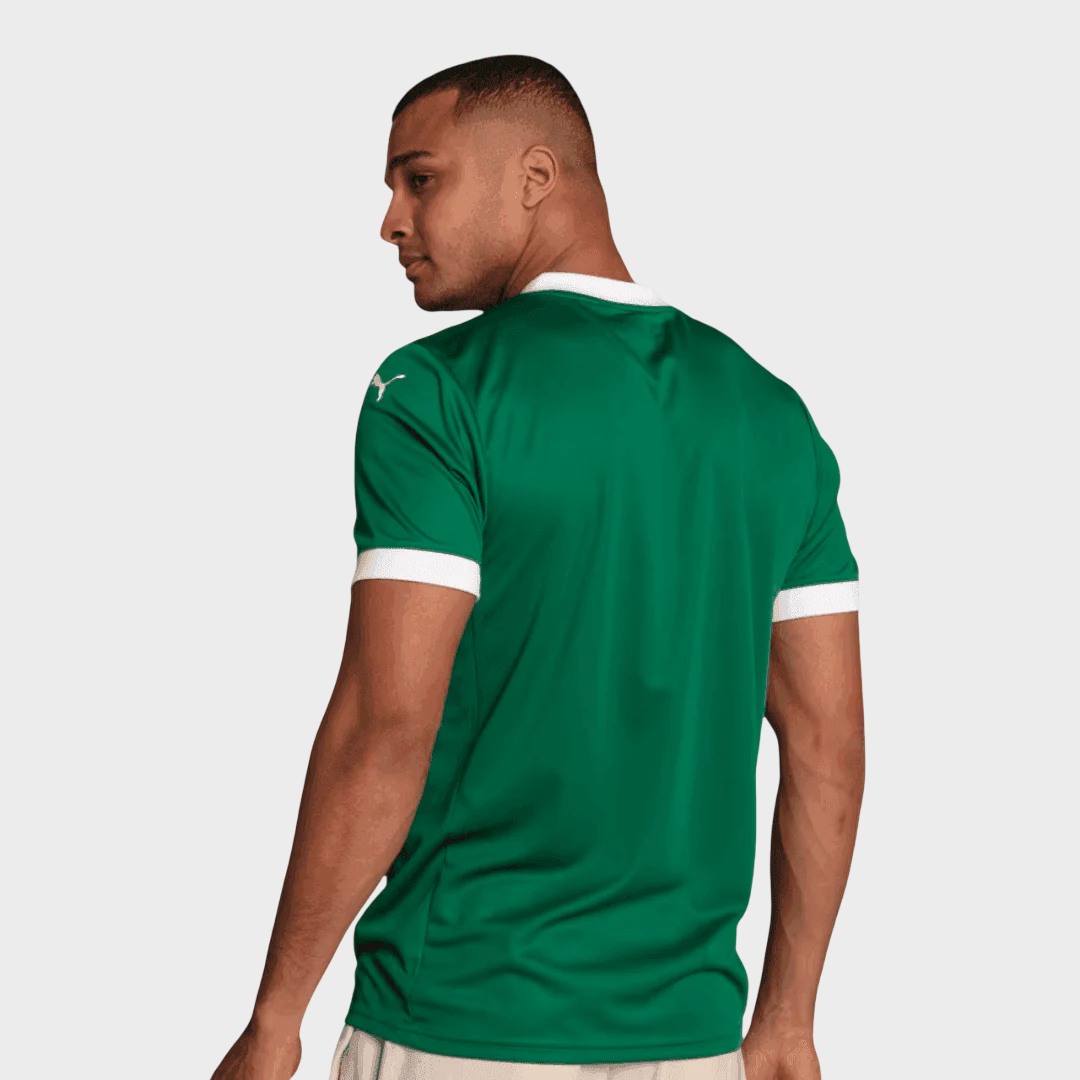 Camisa Palmeiras I 25/26 - Torcedor Puma Masculina - Verde