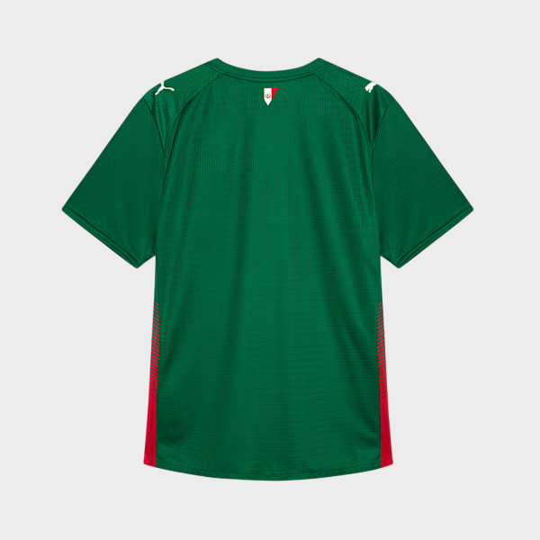 Camisa Palmeiras I 26/27 - Jogador Masculina - Verde