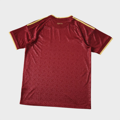 Camisa Espanha 26/27 Campeã do Mundo Especial - Vinho