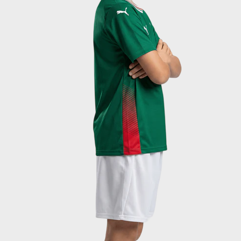 Conjunto Infantil Palmeiras I 26/27