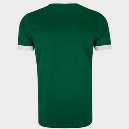 Camisa Palmeiras I 25/26 - Torcedor Puma Masculina - Verde